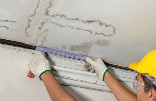 Reliable Mold Remediation contractor in Milledgeville, TN by Water Damage Irwin